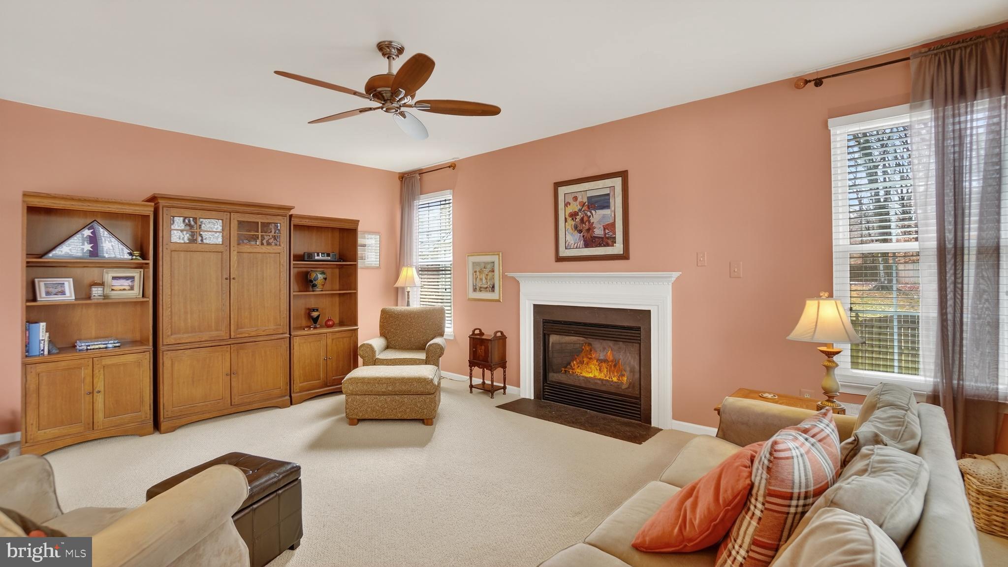 2806 Erna Court Crofton, MD 21054 - Photo 21 of 60 a living room with furniture and a fireplace