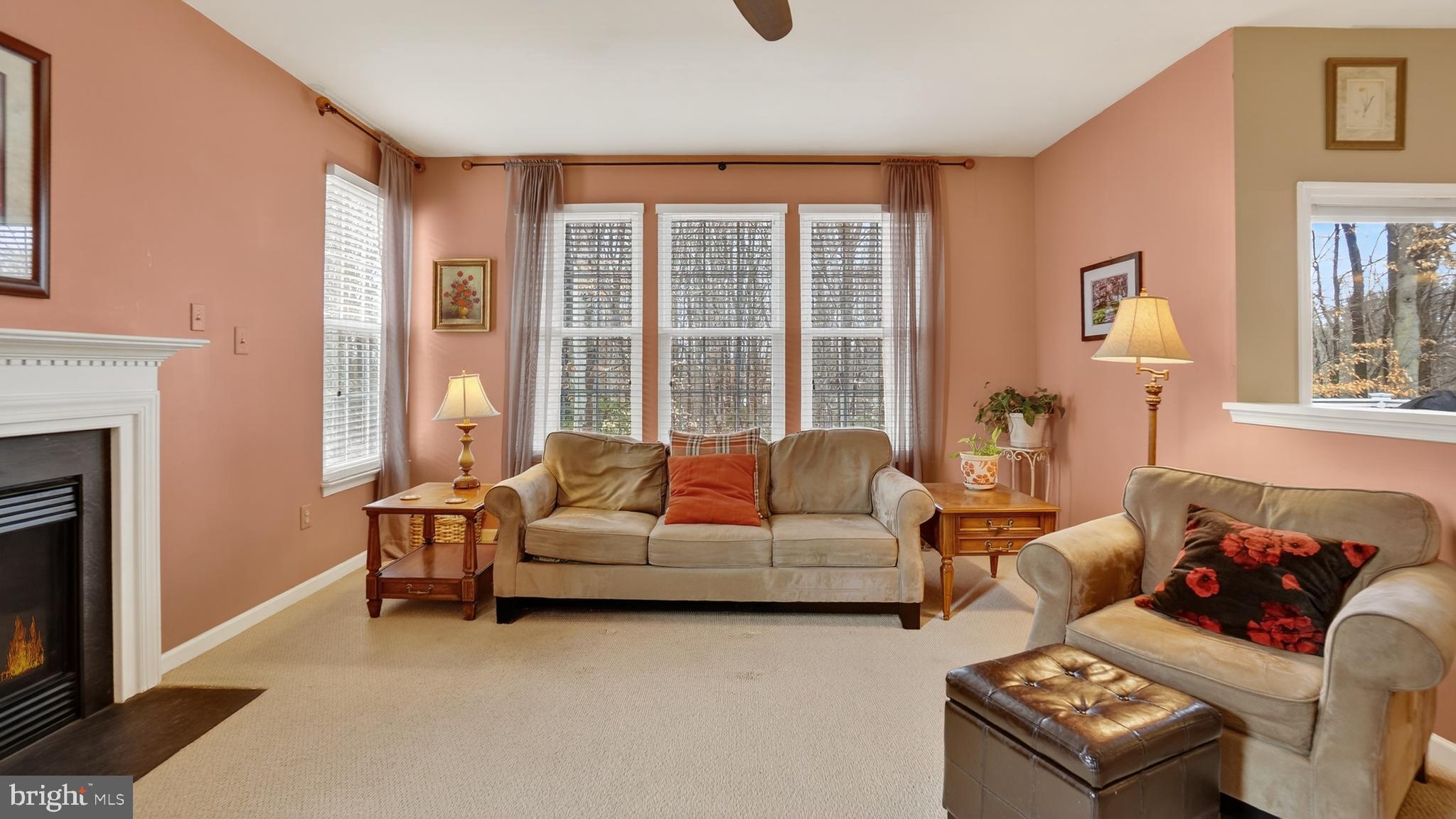 2806 Erna Court Crofton, MD 21054 - Photo 22 of 60 a living room with furniture and a fireplace