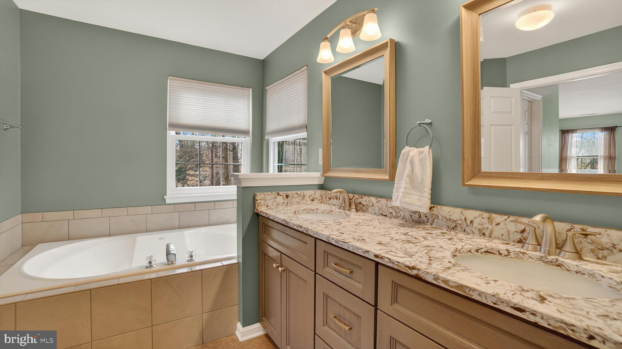 2806 Erna Court Crofton, MD 21054 - Photo 32 of 60 a bathroom with a granite countertop bathtub sink and mirror