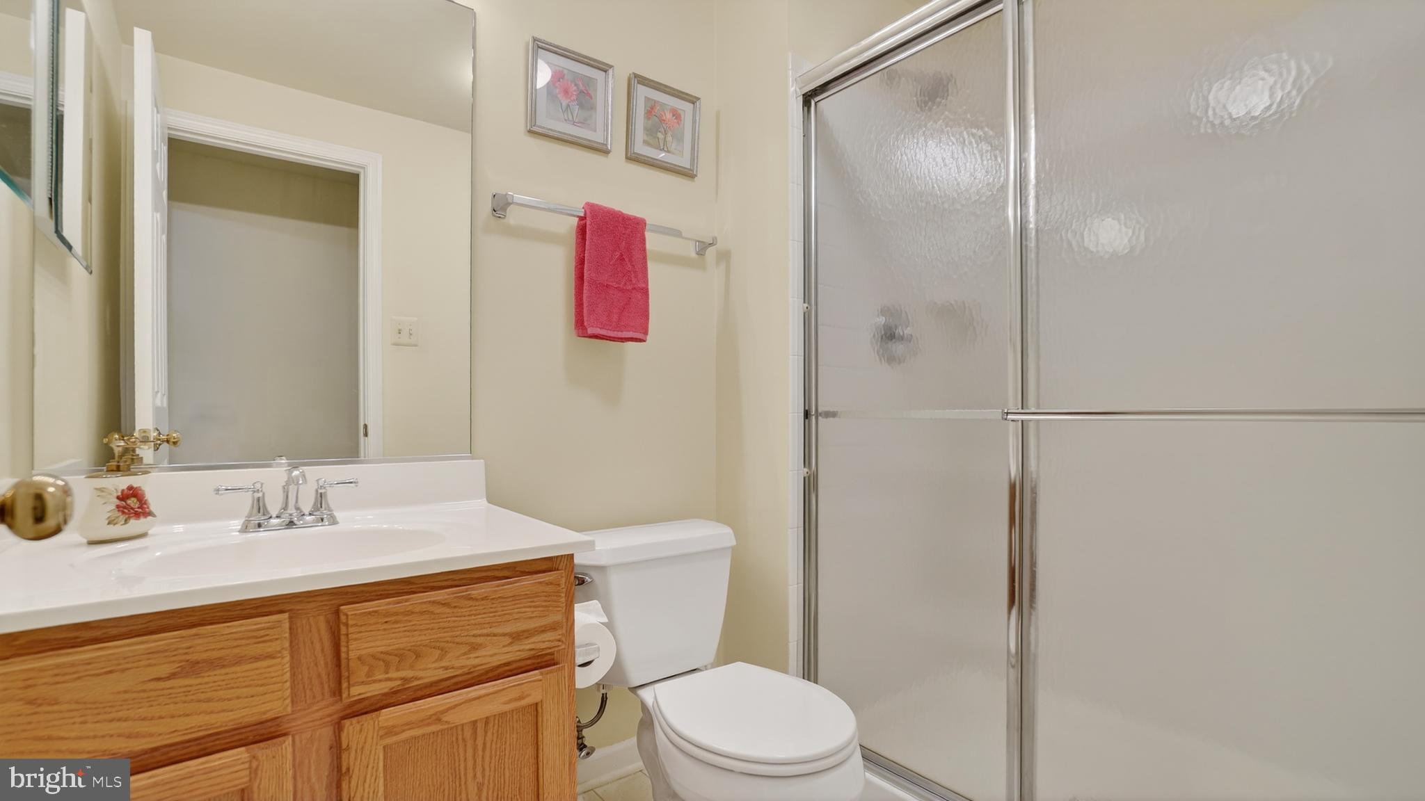 2806 Erna Court Crofton, MD 21054 - Photo 52 of 60 a bathroom with a sink a toilet and shower