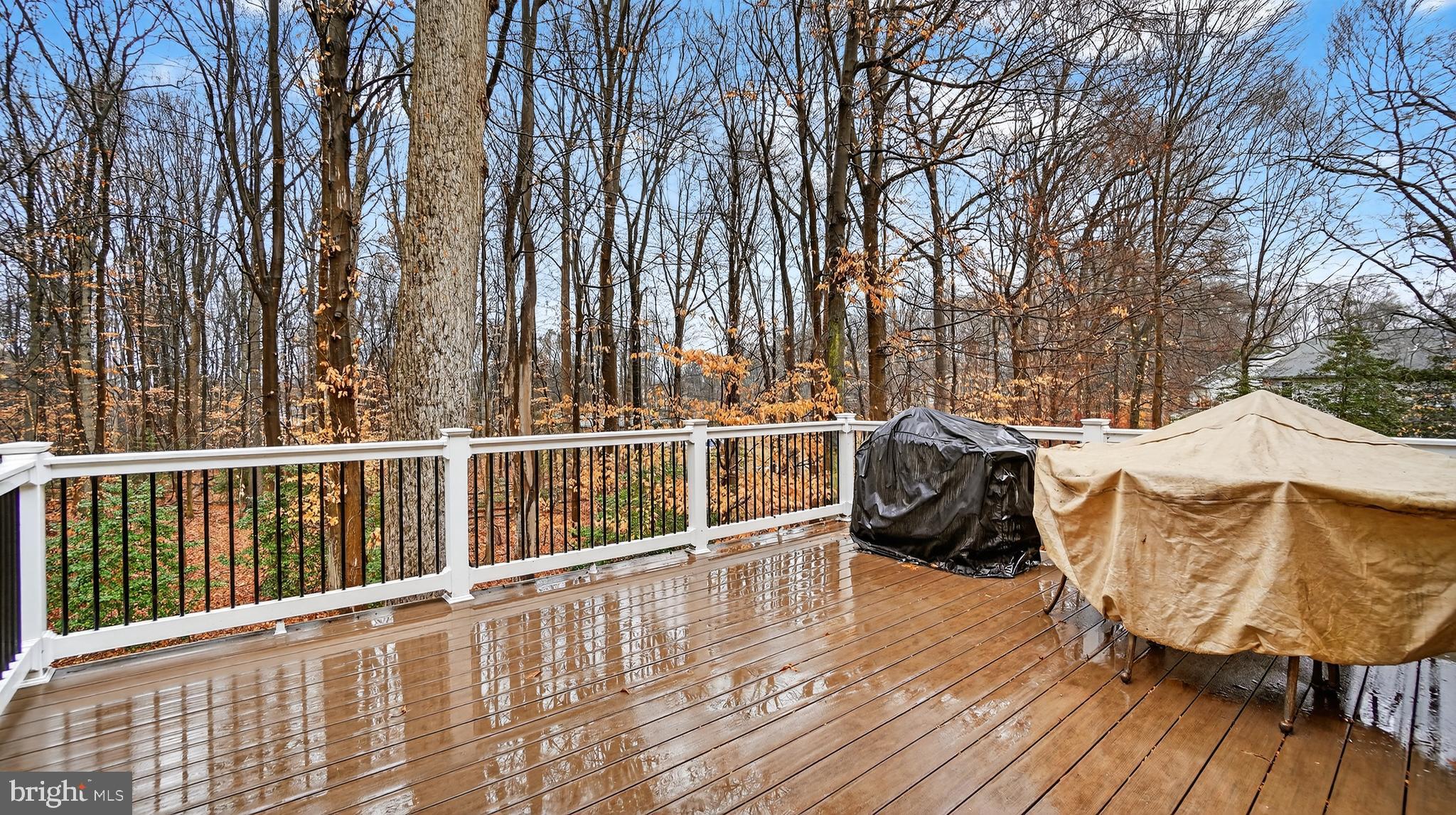 2806 Erna Court Crofton, MD 21054 - Photo 54 of 60 a view of a balcony with chairs