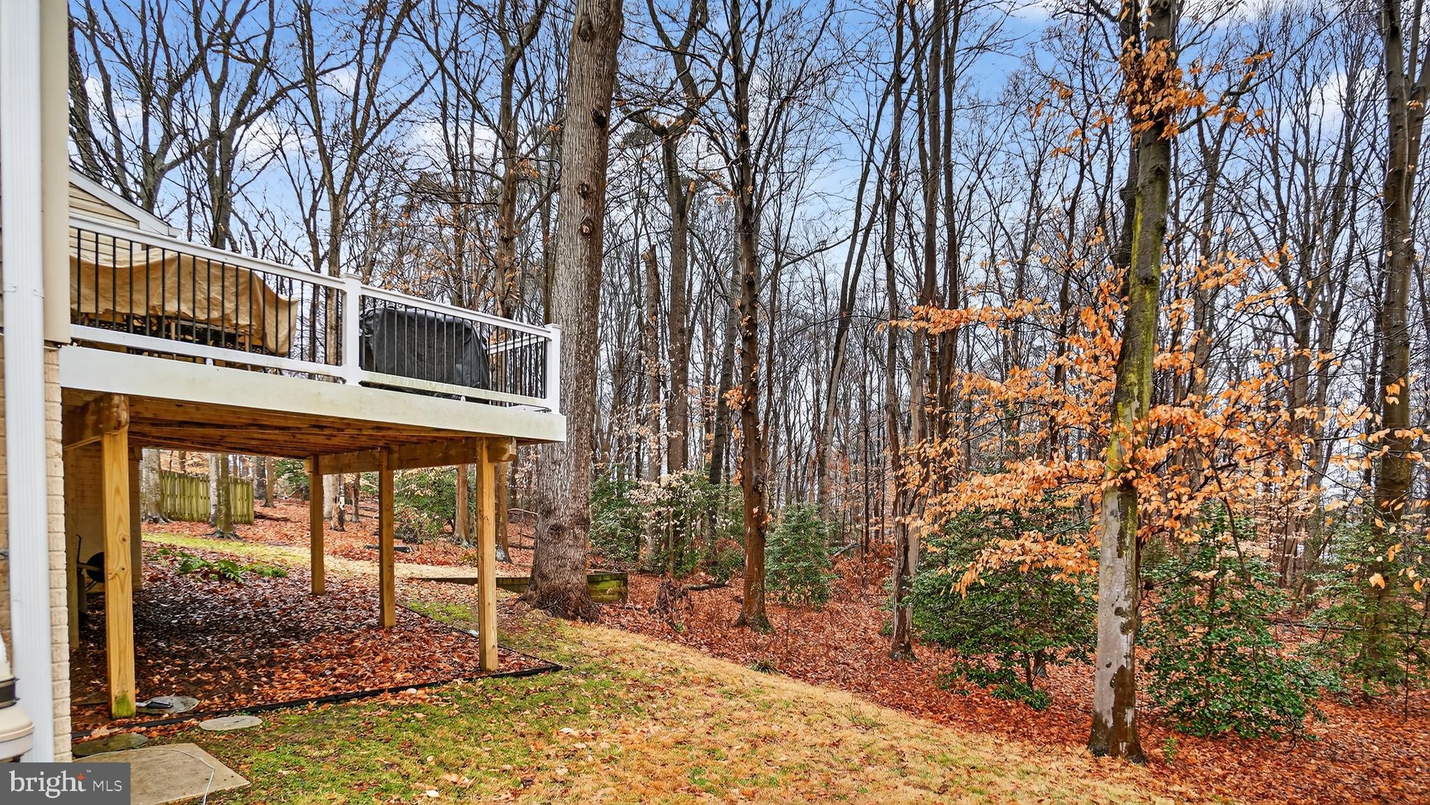 2806 Erna Court Crofton, MD 21054 - Photo 59 of 60 a backyard of a house with large trees and plants