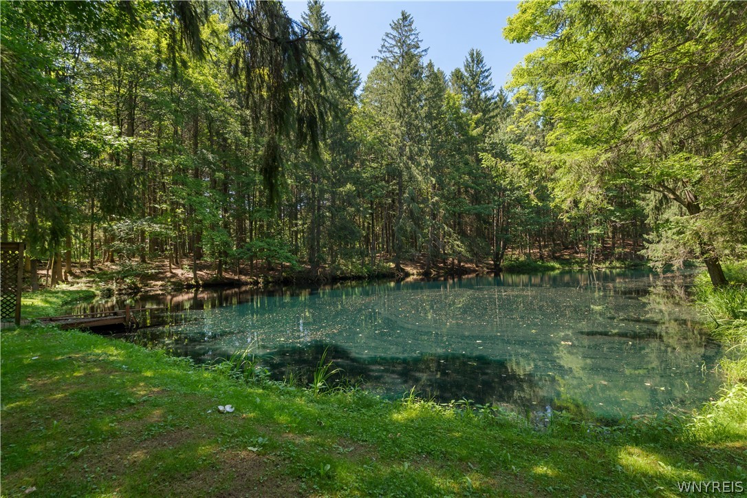 3367 Dunham Road Orangeville, NY 14569 - Photo 46 of 50 Pond view