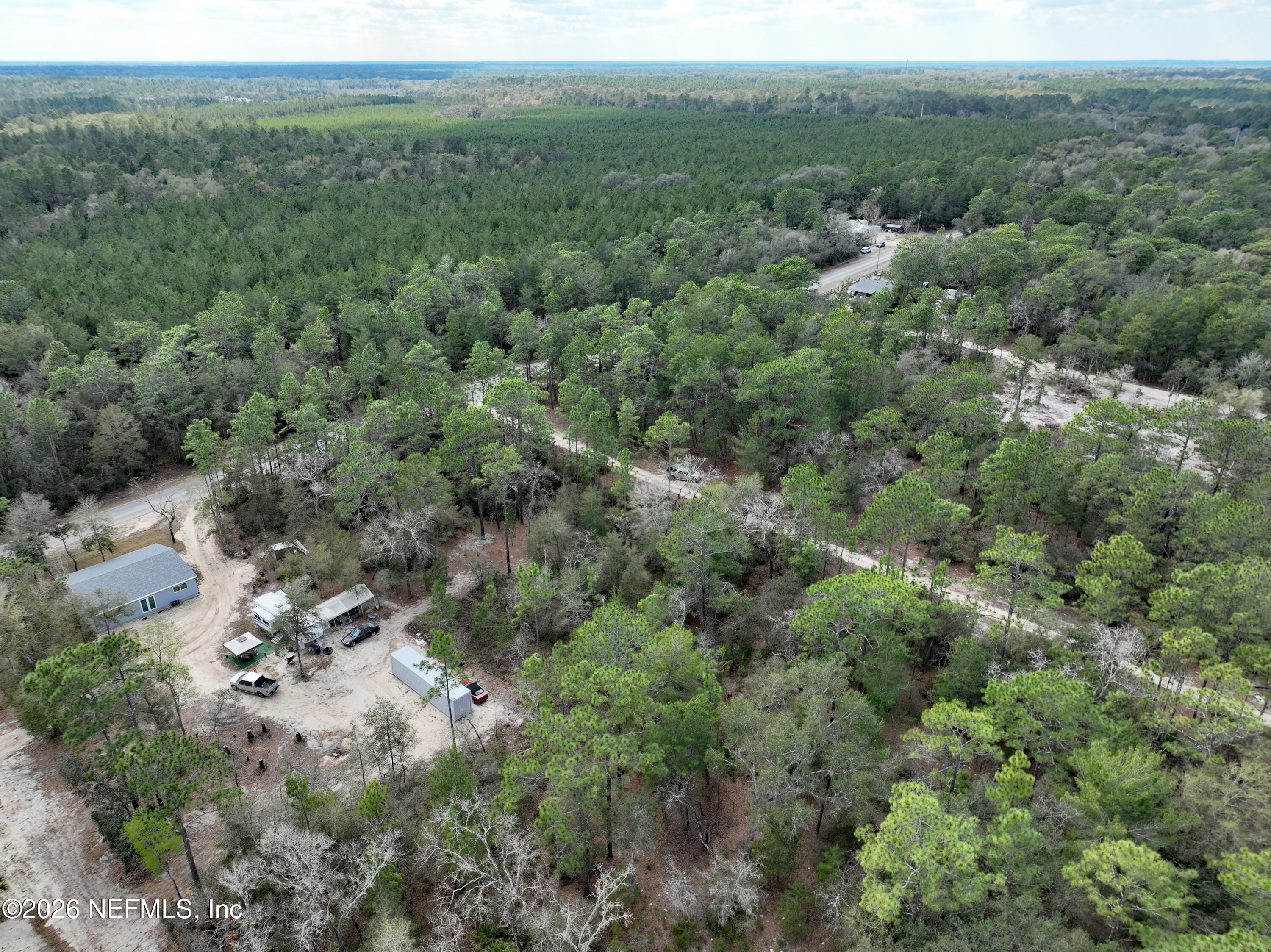 416 Mourning Dove Road Satsuma, FL 32189 - Photo 12 of 22 a view of a forest with a street