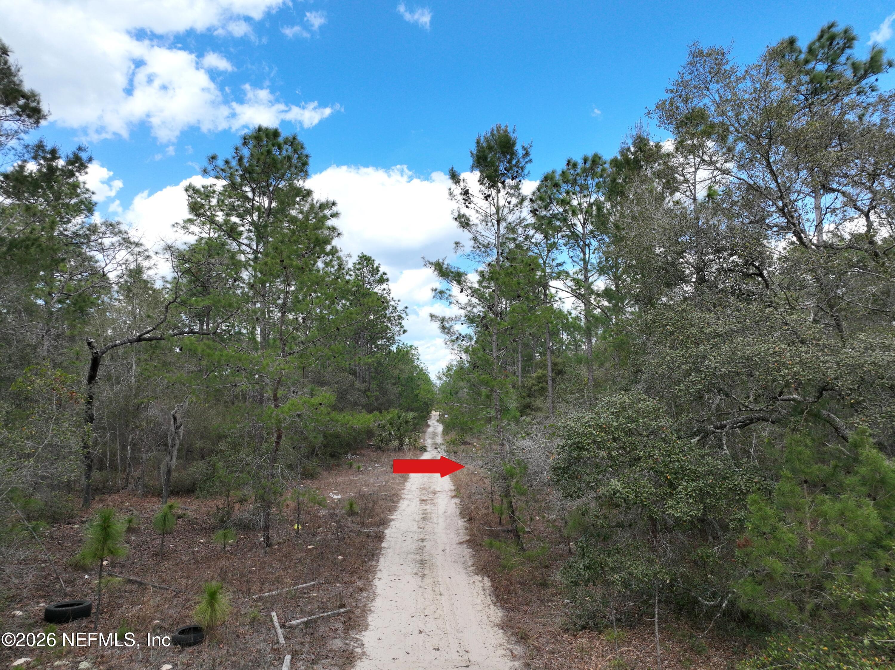 416 Mourning Dove Road Satsuma, FL 32189 - Photo 19 of 22 a view of a forest