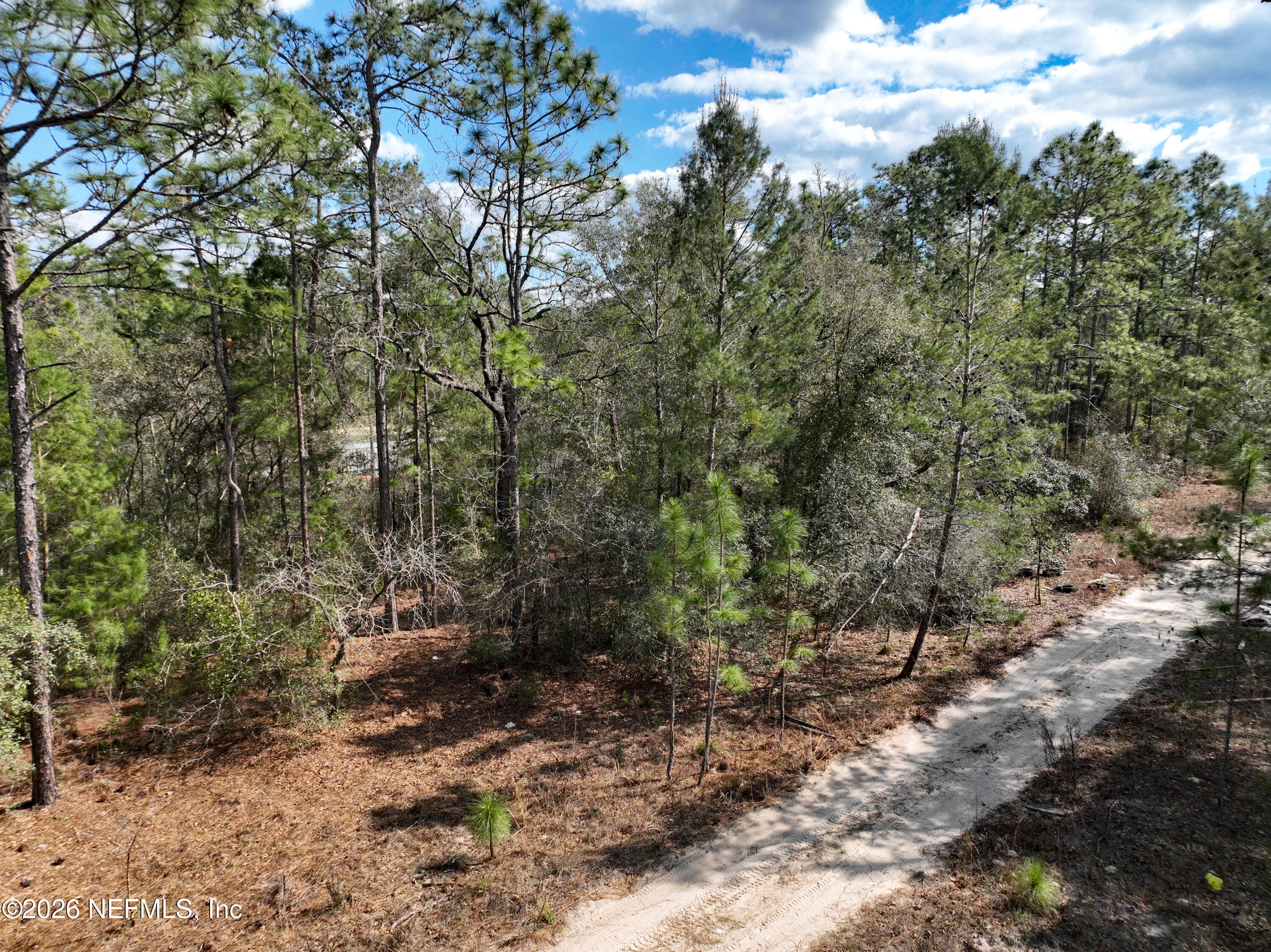416 Mourning Dove Road Satsuma, FL 32189 - Photo 9 of 22 a view of a forest with trees