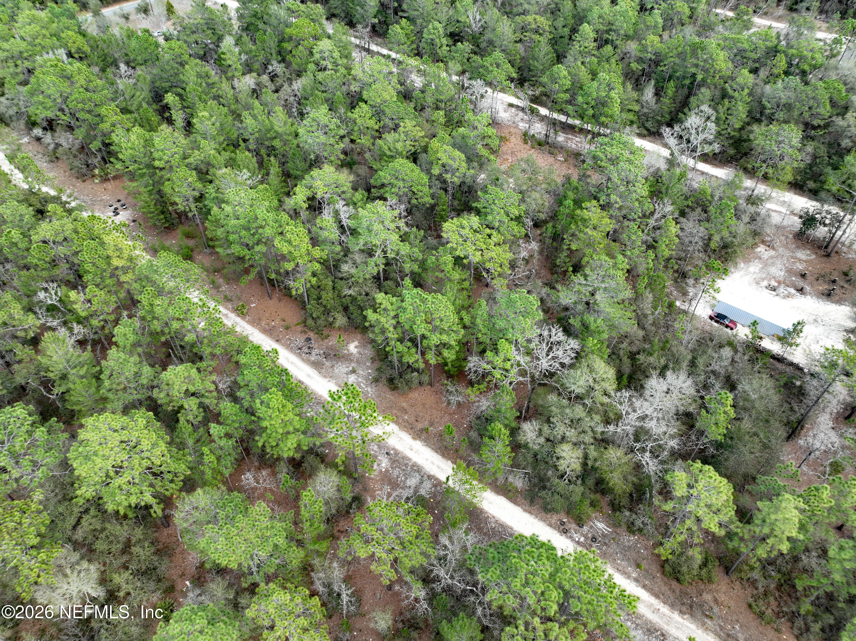 416 Mourning Dove Road Satsuma, FL 32189 - Photo 10 of 22 a view of a forest with a tree