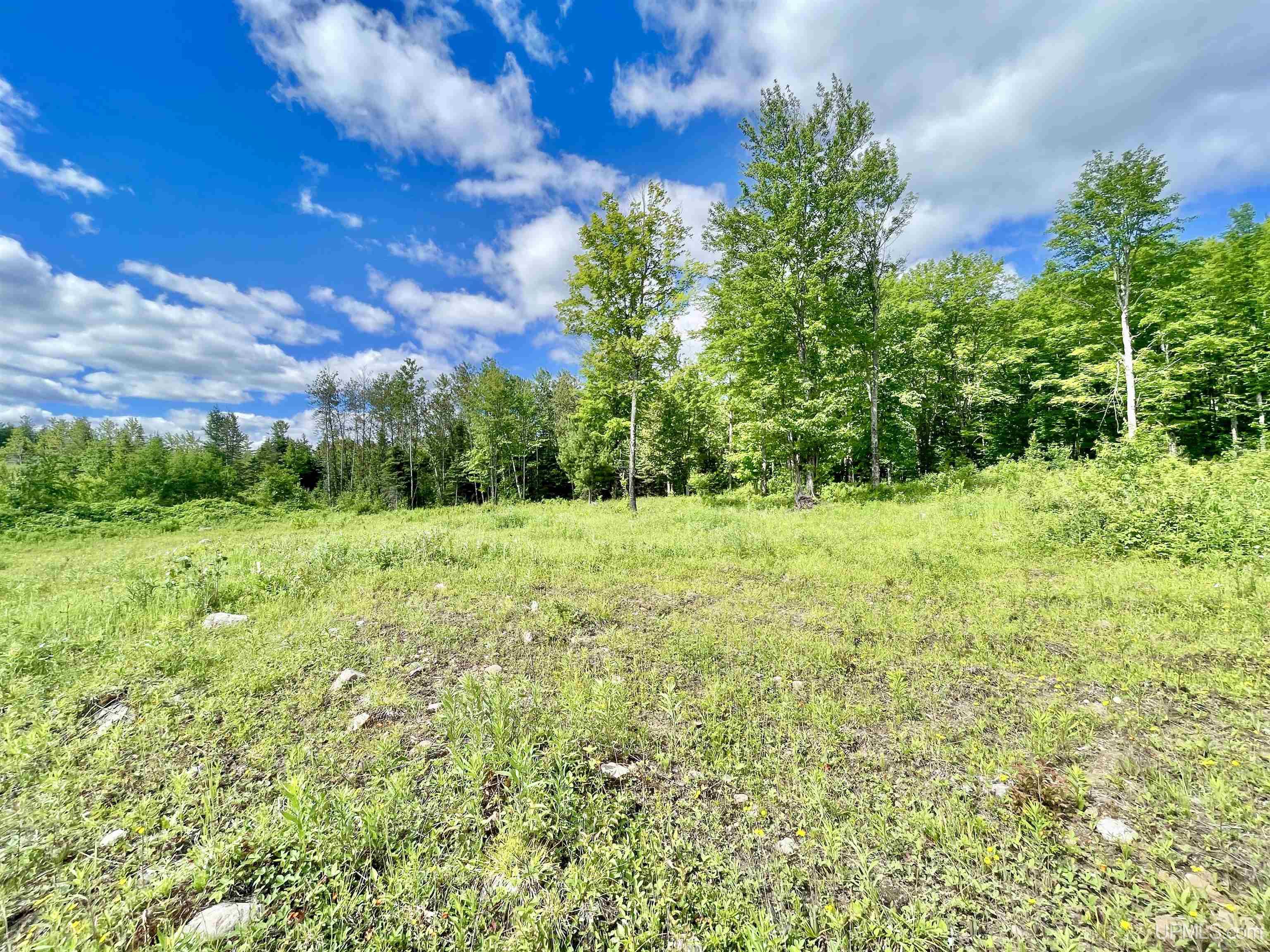Tbd Norway Lake Road Felch, MI 49831 - Photo 10 of 14