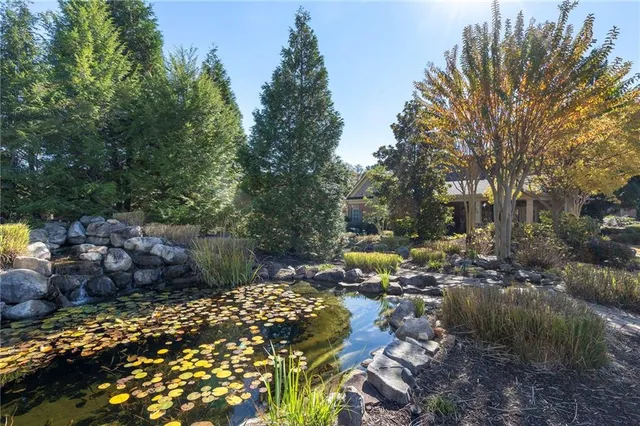 a picture of lake view