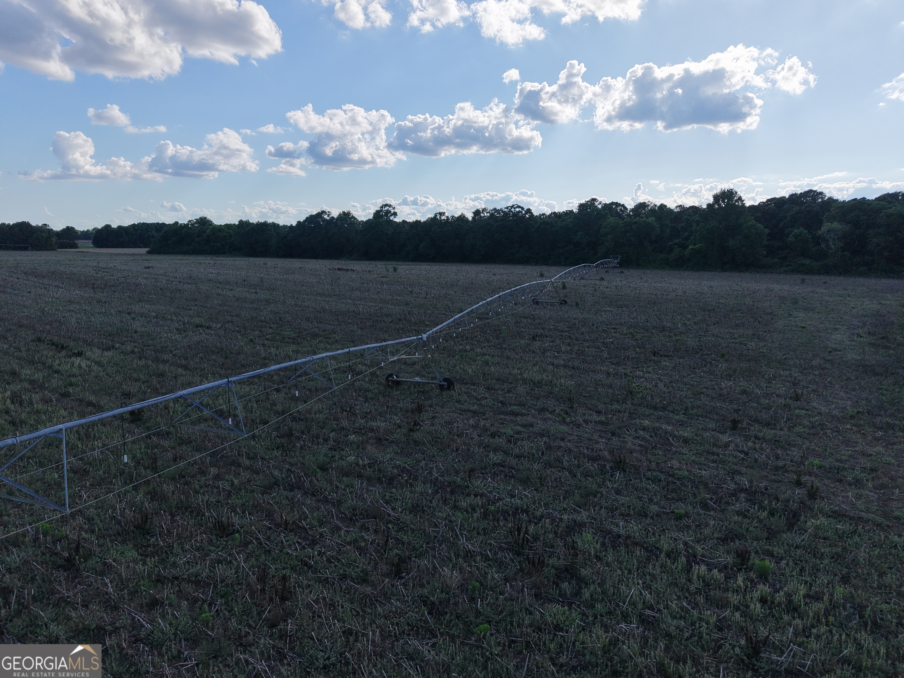 0 West Bluffton Road Bluffton, GA 39824 - Photo 12 of 18