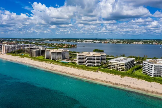 a view of a garden with flowers