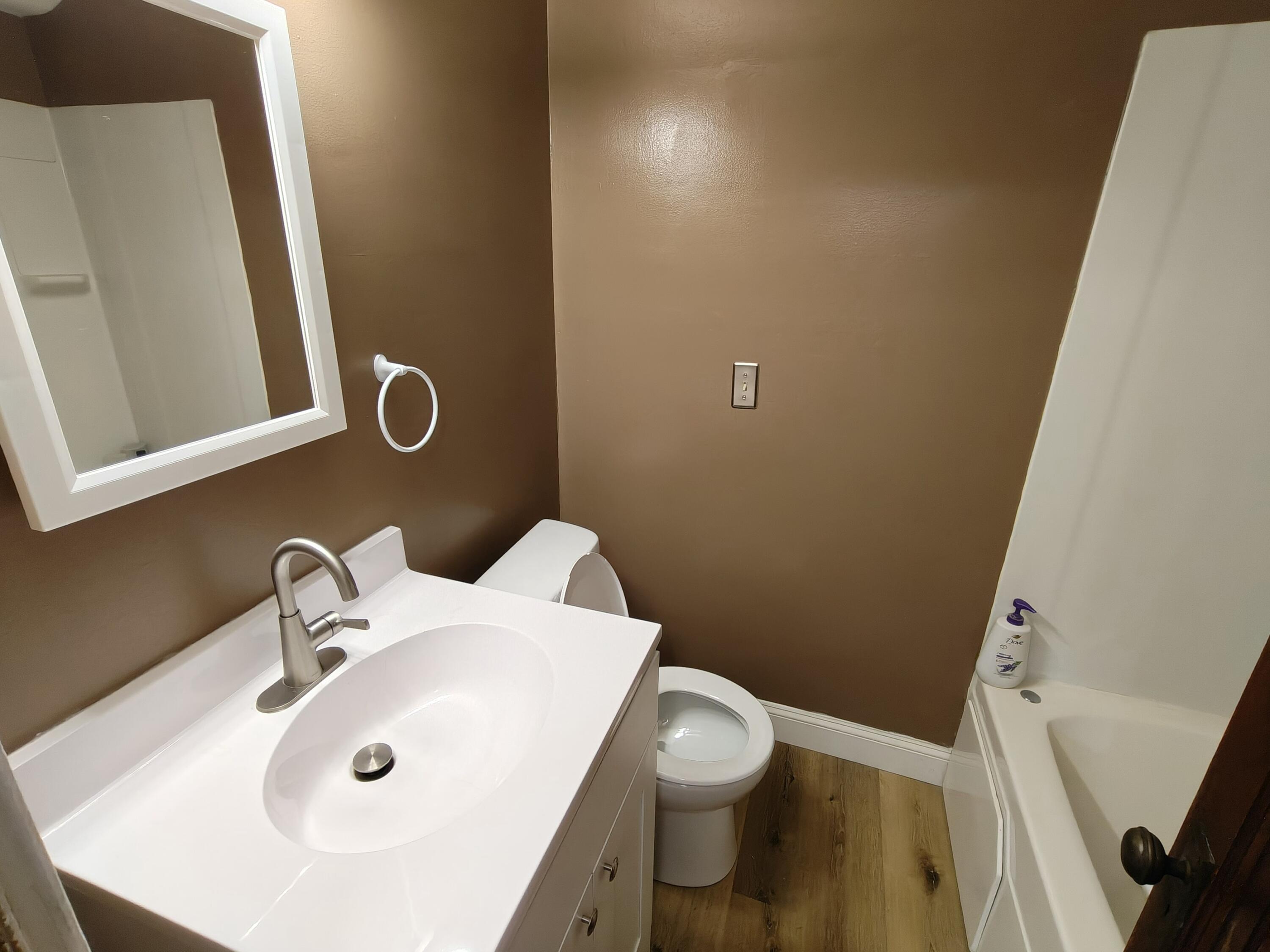245 North Indiana Street Griffith, IN 46319 - Photo 17 of 30 a bathroom with a sink and a mirror