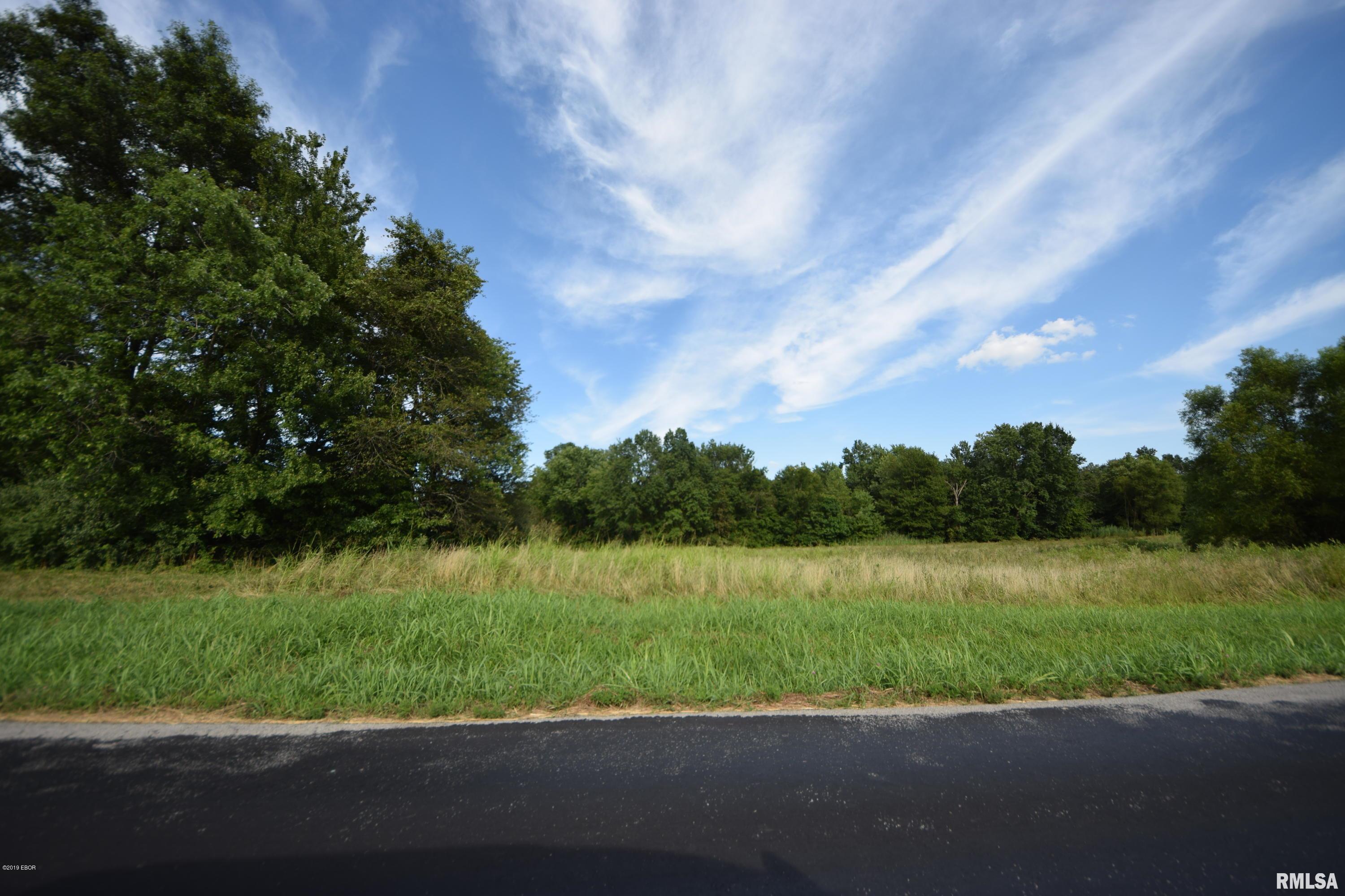 14532 Christmas Tree Road Johnston City, IL 62951 - Photo 1 of 1