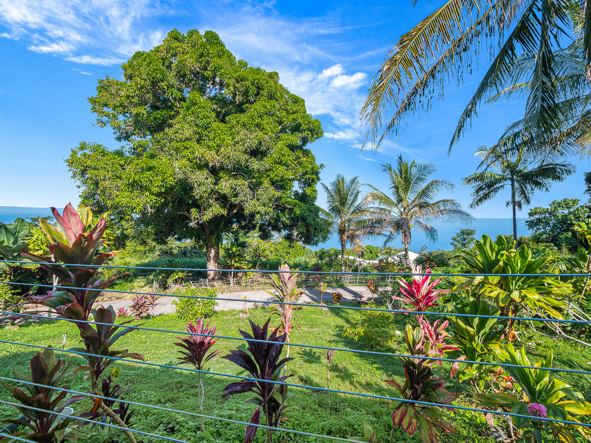 87-493 Kaohe Mauka Road Captain Cook, HI 96704 - Photo 27 of 28