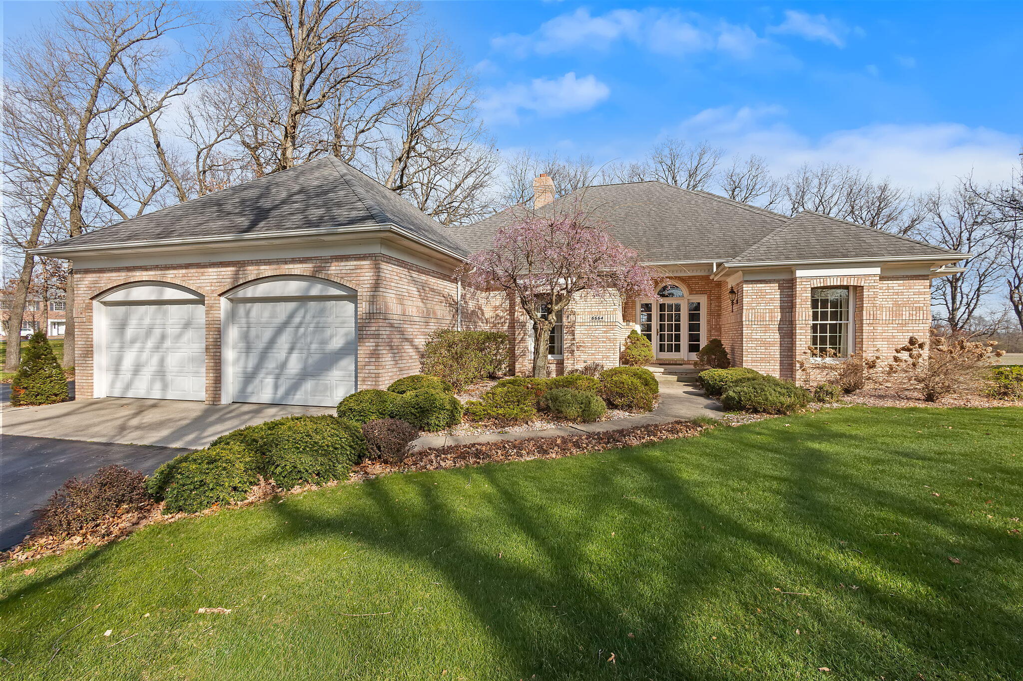 a view of a house with a backyard