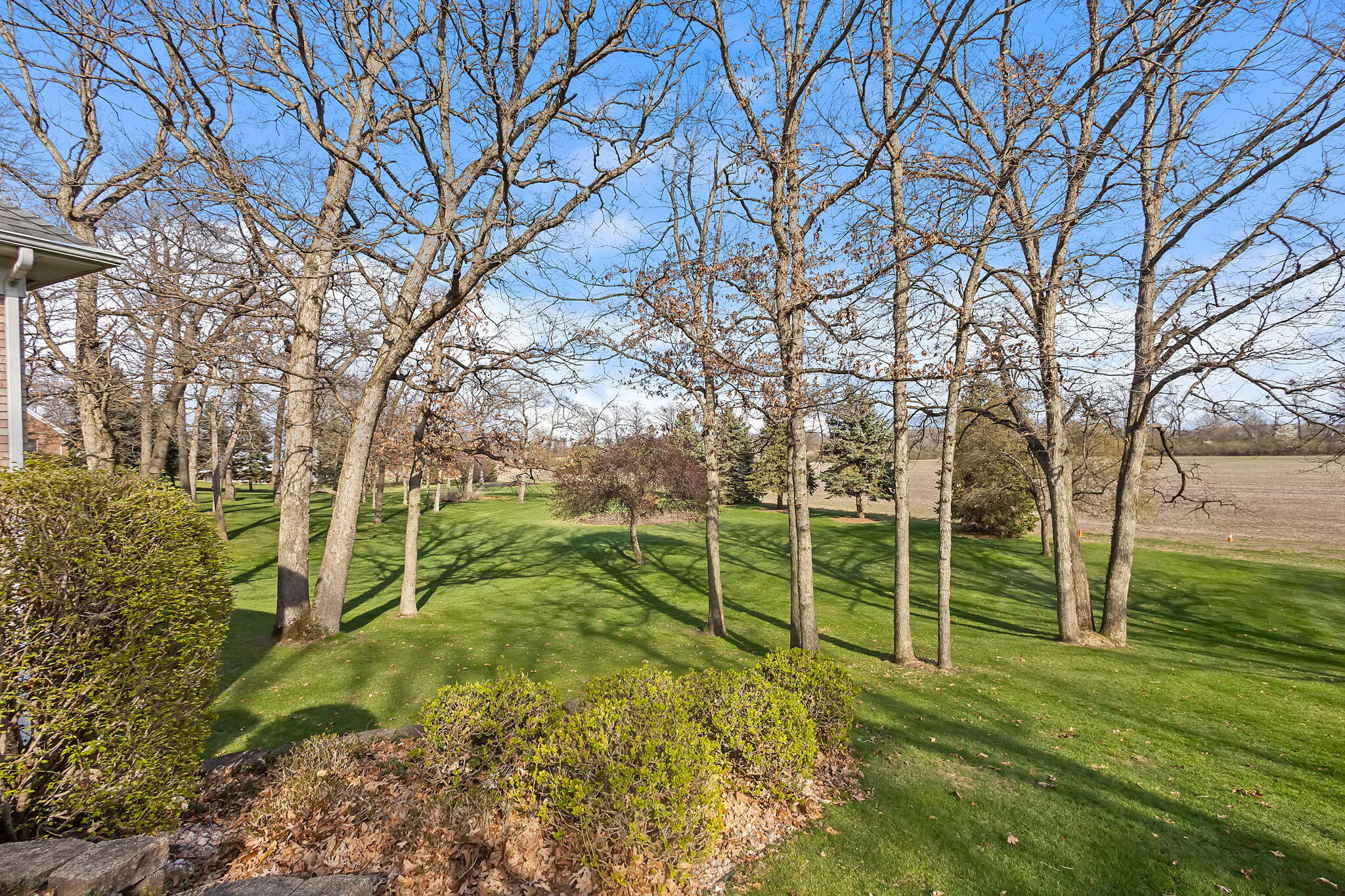 6664 Ridgeview Drive Demotte, IN 46310 - Photo 49 of 65 a view of a yard with a large tree