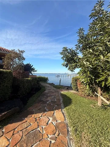 a view of a yard with plants and a bench