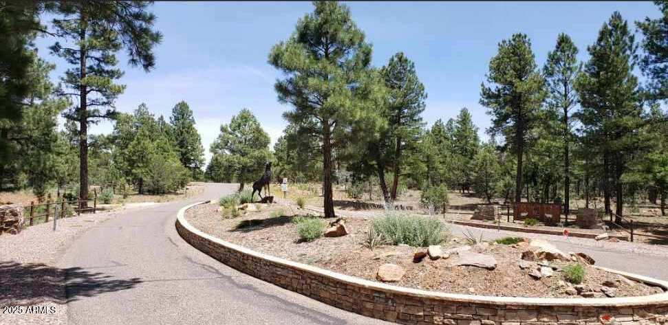 5113 Sunset Ridge Loop, Unit 187 Happy Jack, AZ 86024 - Photo 12 of 12 swimming pool view with a outdoor seating