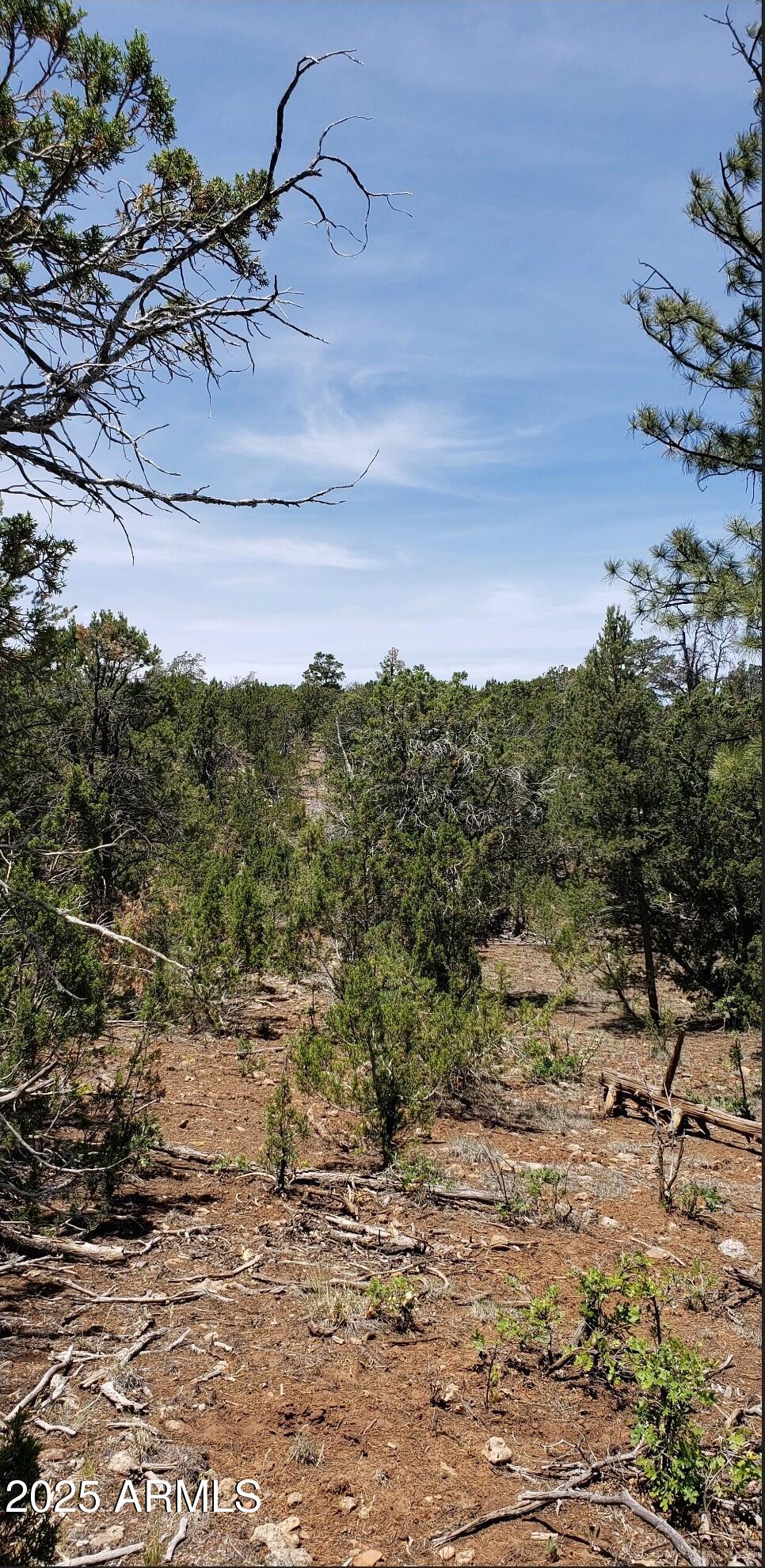 5113 Sunset Ridge Loop, Unit 187 Happy Jack, AZ 86024 - Photo 2 of 12 a view of a dry yard with wooden fence
