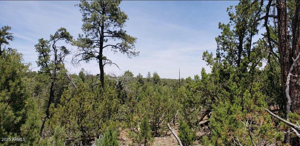 5113 Sunset Ridge Loop, Unit 187 Happy Jack, AZ 86024 - Photo 3 of 12 a view of a plants of a building