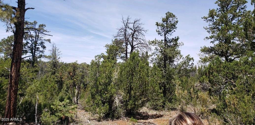 5113 Sunset Ridge Loop, Unit 187 Happy Jack, AZ 86024 - Photo 4 of 12 a view of a tree in a yard