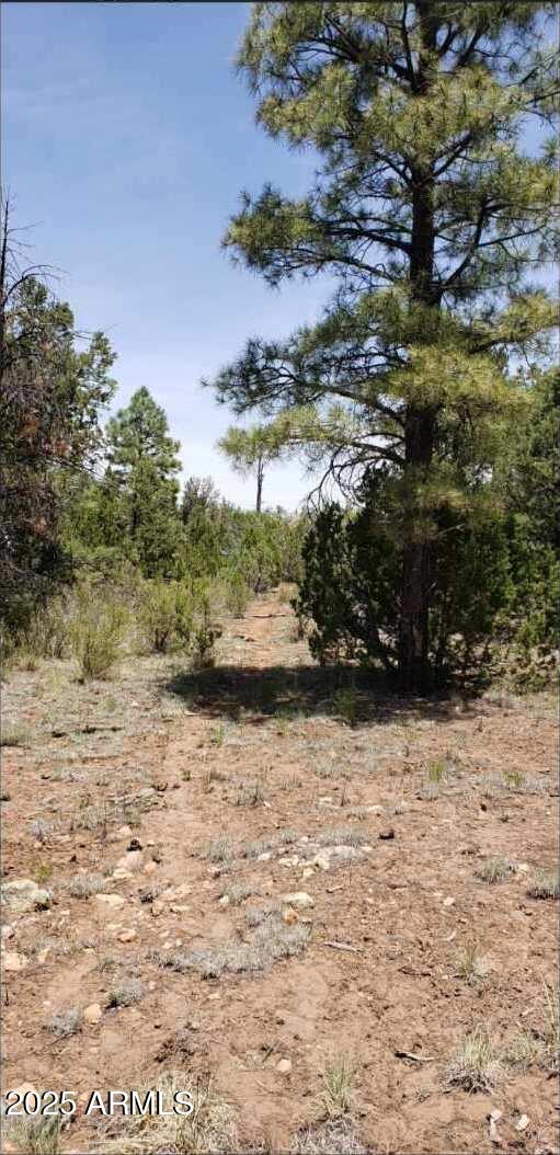 5113 Sunset Ridge Loop, Unit 187 Happy Jack, AZ 86024 - Photo 6 of 12 a view of outdoor space