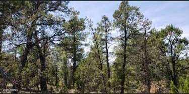 5113 Sunset Ridge Loop, Unit 187 Happy Jack, AZ 86024 - Photo 7 of 12 a view of a forest with a tree