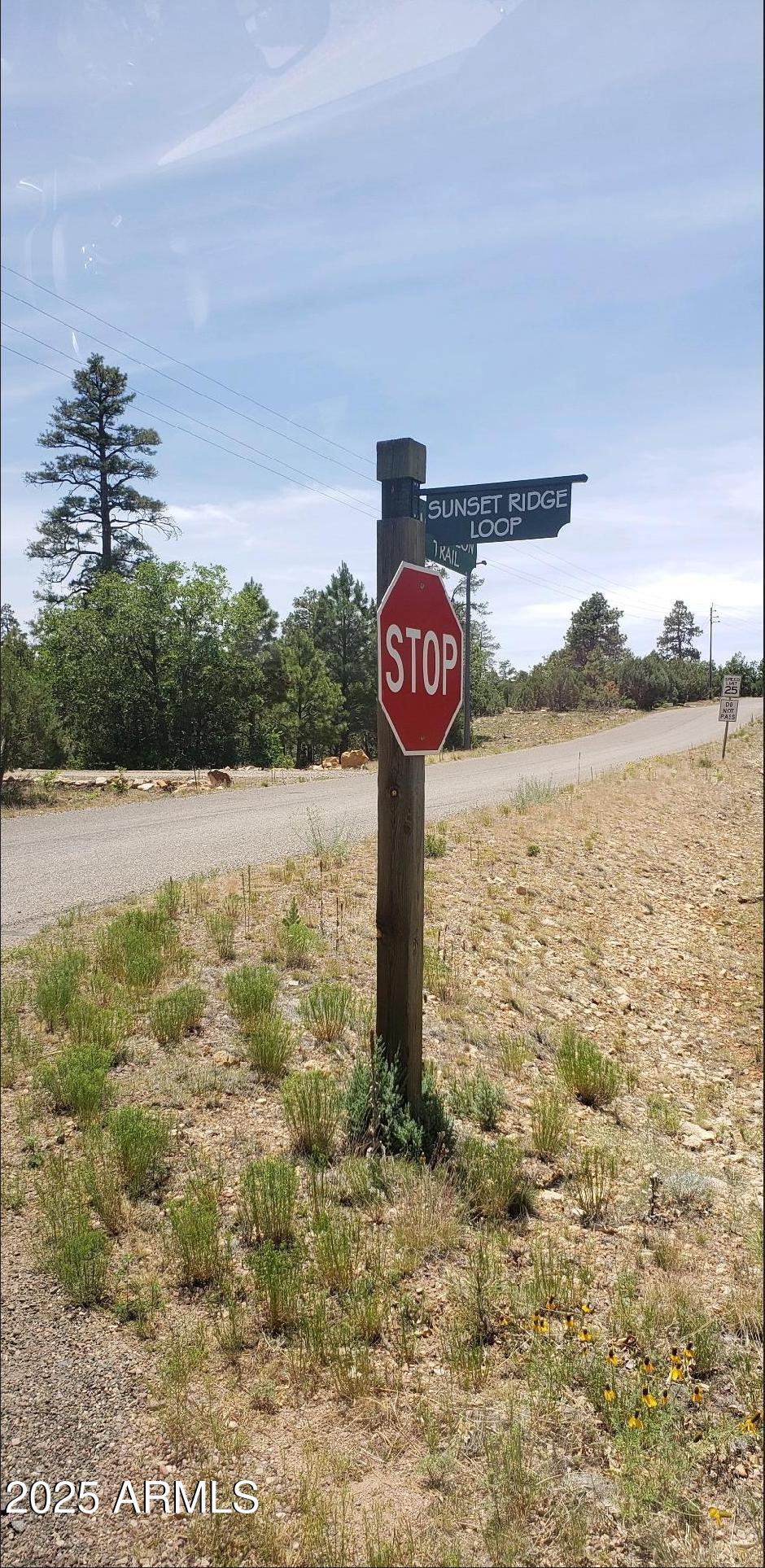 5113 Sunset Ridge Loop, Unit 187 Happy Jack, AZ 86024 - Photo 9 of 12 a view of a street with trees