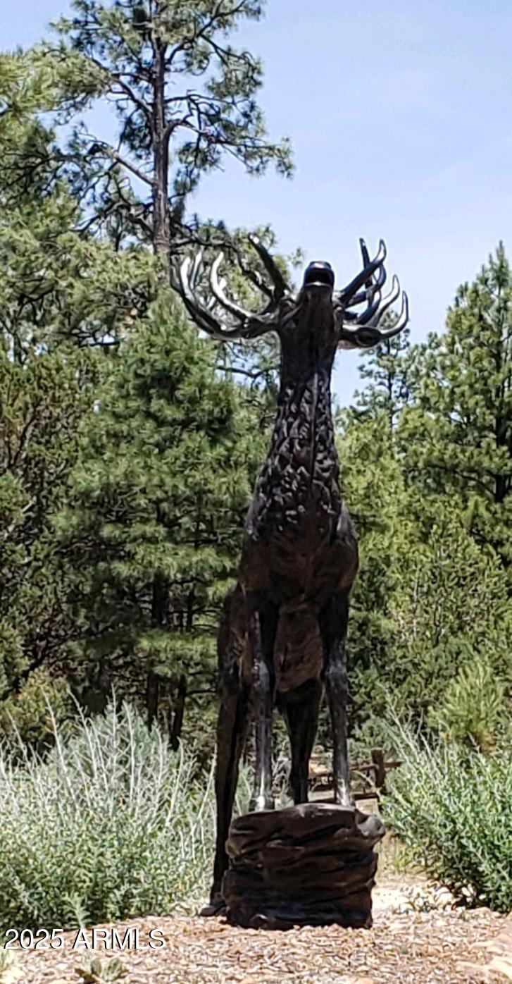 5113 Sunset Ridge Loop, Unit 187 Happy Jack, AZ 86024 - Photo 10 of 12 a view of a tree in a yard