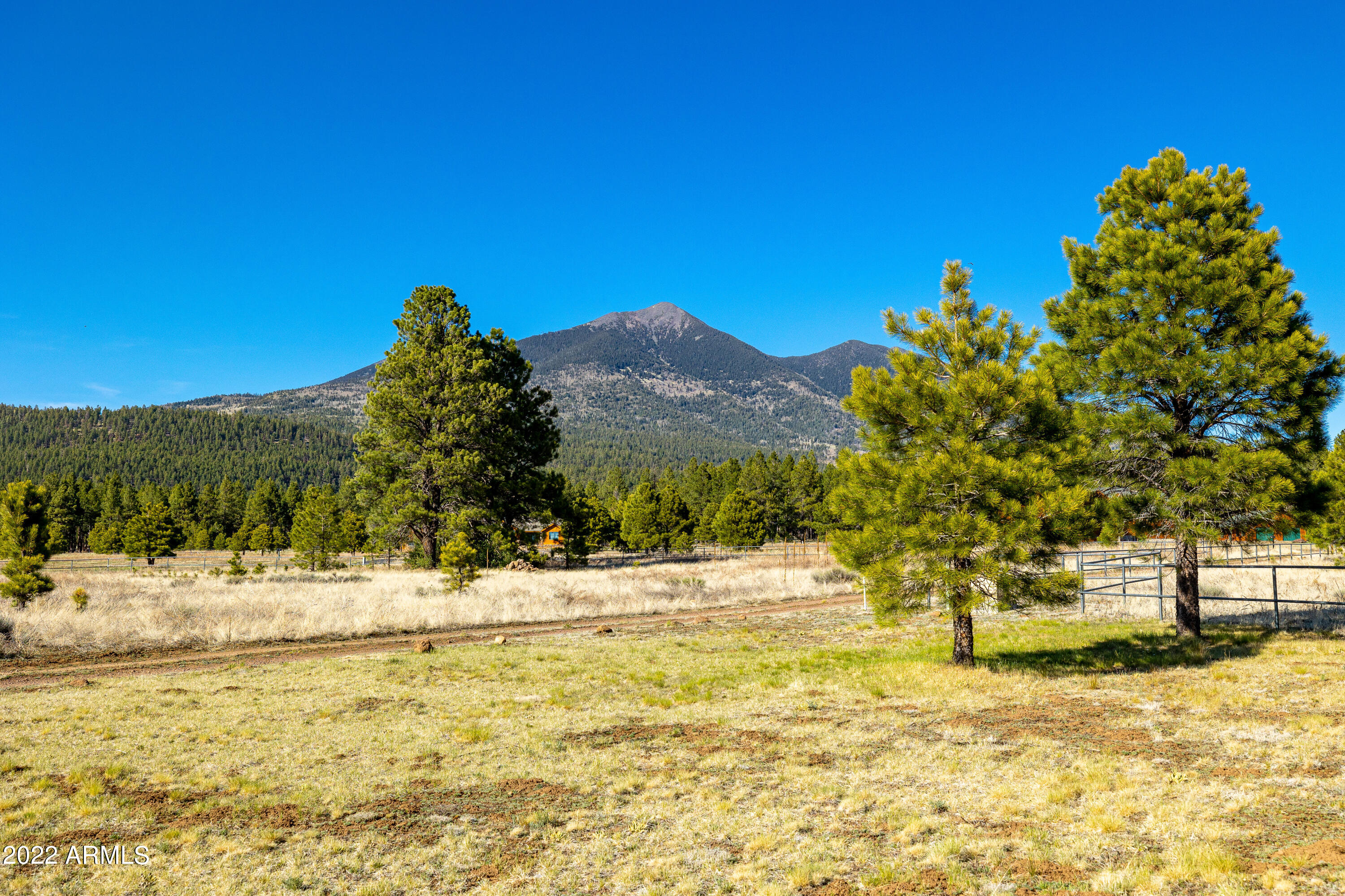 8975 North Snow Bowl Ranch Road Flagstaff, AZ 86001 - Photo 54 of 80 BCP--56