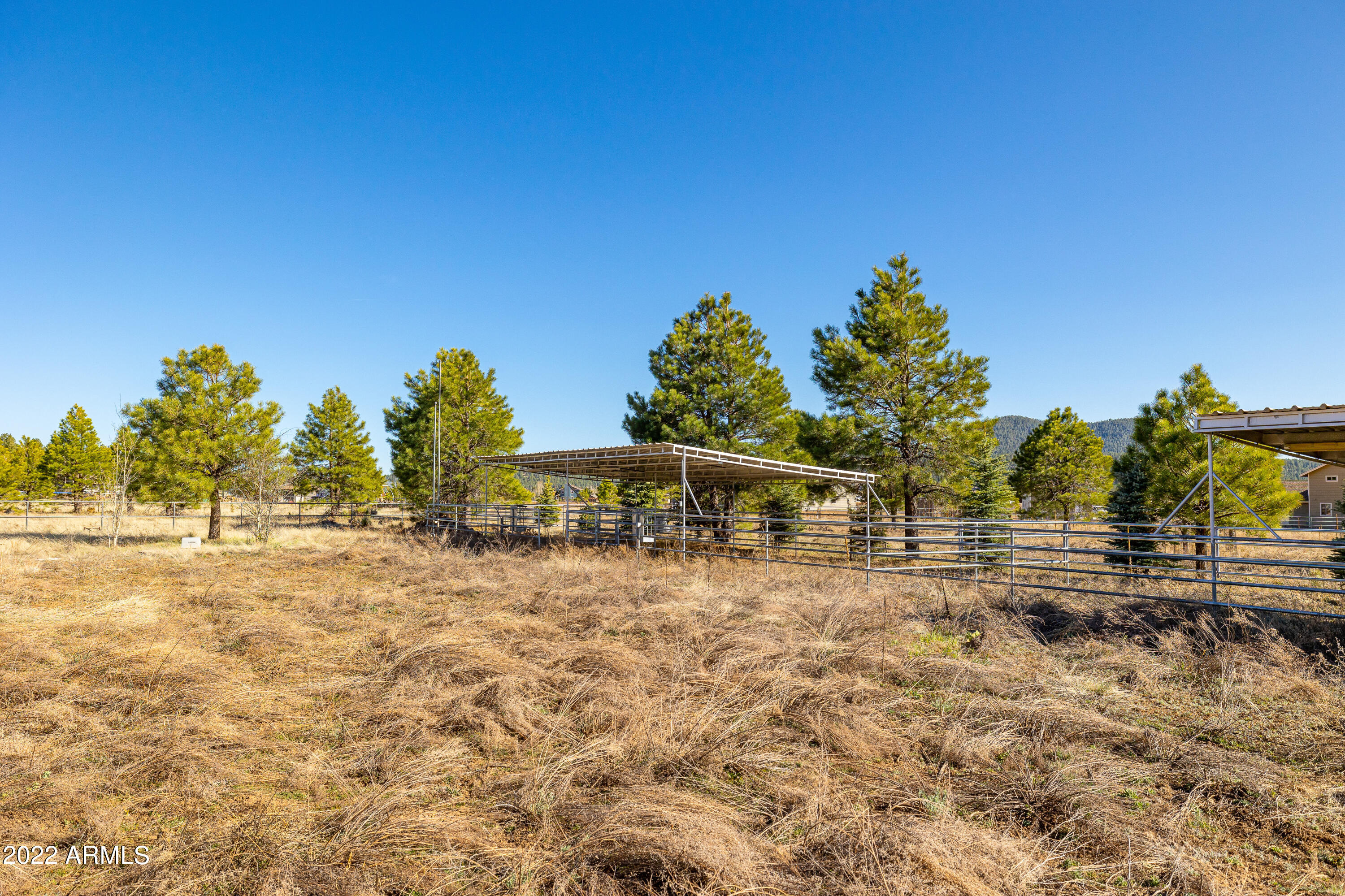 8975 North Snow Bowl Ranch Road Flagstaff, AZ 86001 - Photo 57 of 80 BCP--59