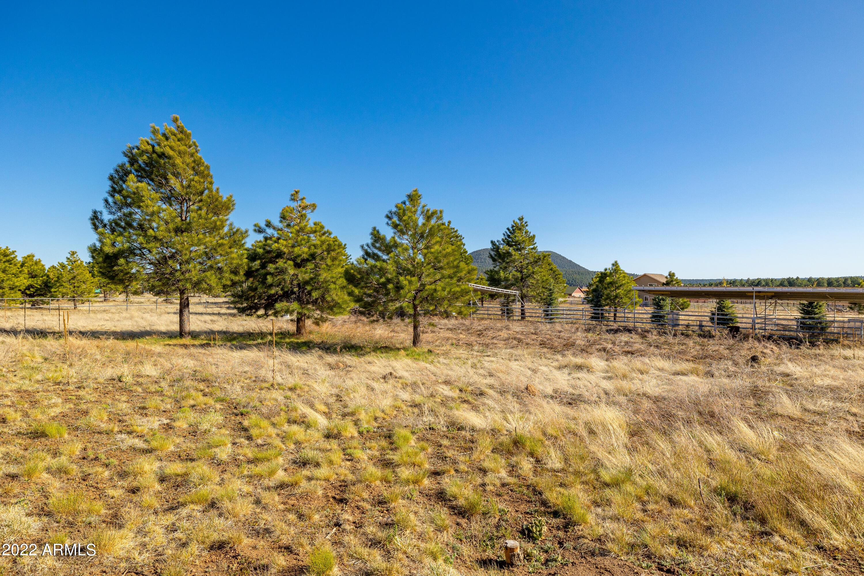 8975 North Snow Bowl Ranch Road Flagstaff, AZ 86001 - Photo 60 of 80 BCP--62