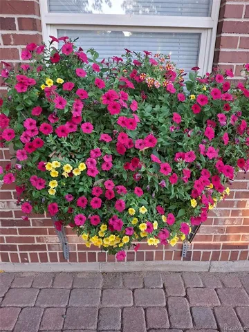 a street sign that is in front of flowers