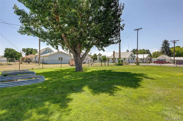 a view of a house with a big yard potted plants and large tree