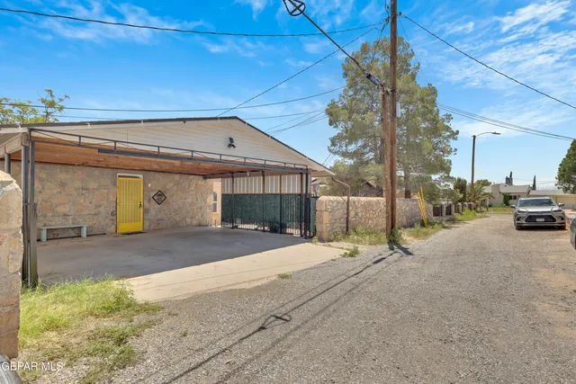 a living room with a couch and potted plant
