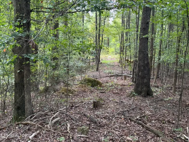 $459,000 | Riddle Street, Dayton, TN 37321