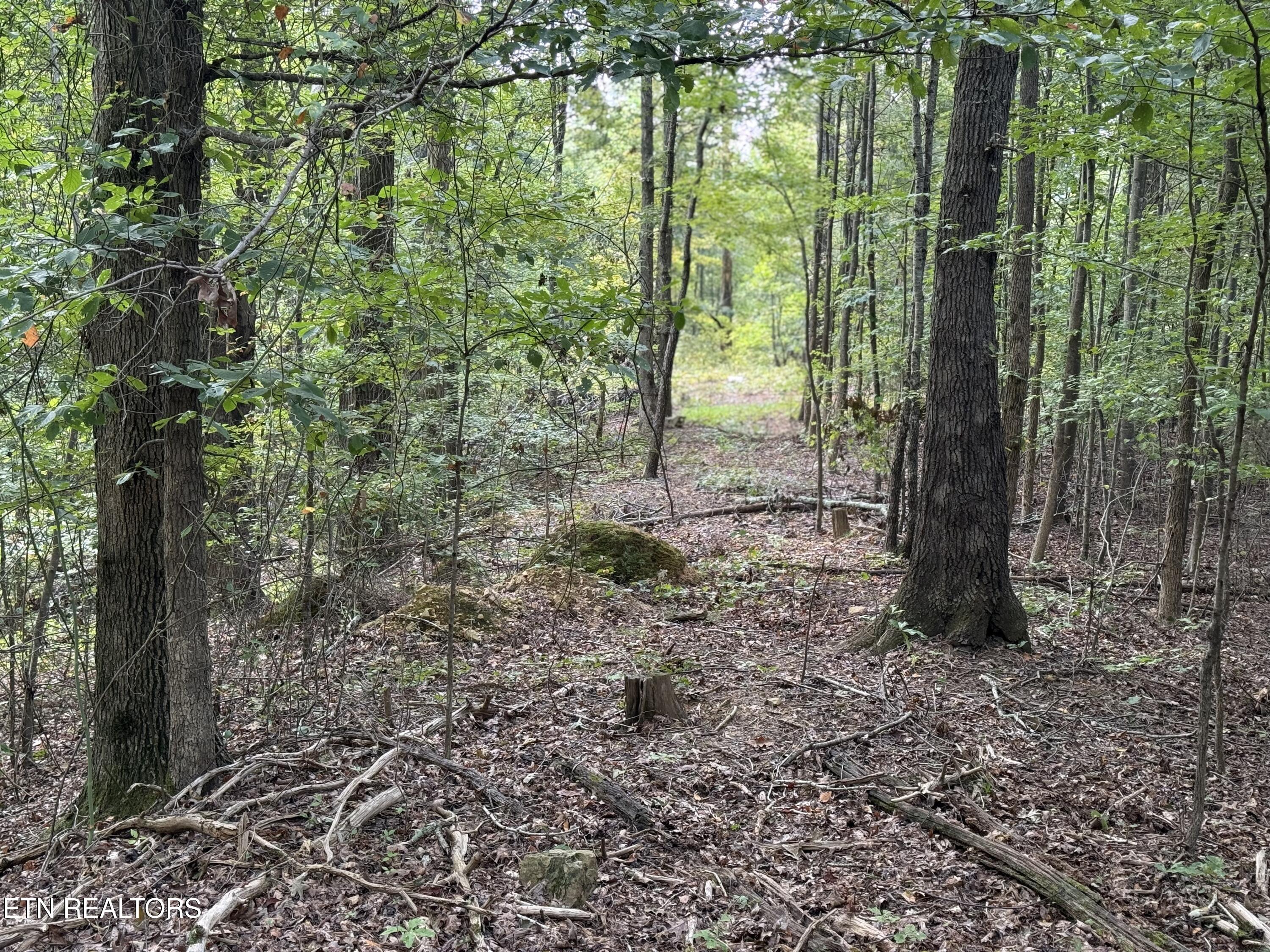 Riddle Street Dayton, TN 37321 - Photo 2 of 8 IMG_9233