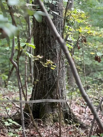 $459,000 | Riddle Street, Dayton, TN 37321