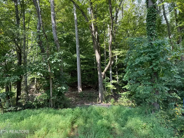 $459,000 | Riddle Street, Dayton, TN 37321