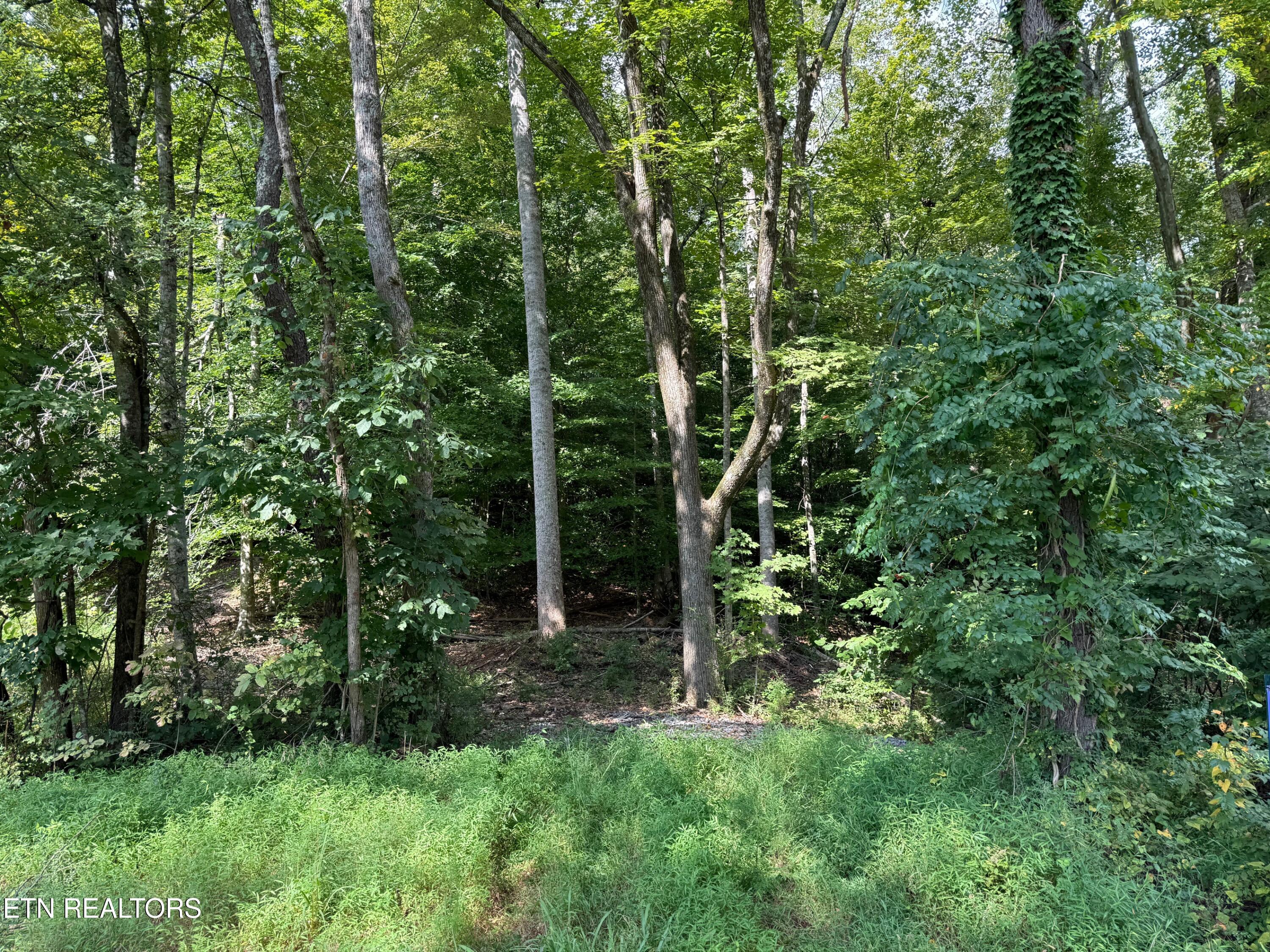 Riddle Street Dayton, TN 37321 - Photo 6 of 8 IMG_9238