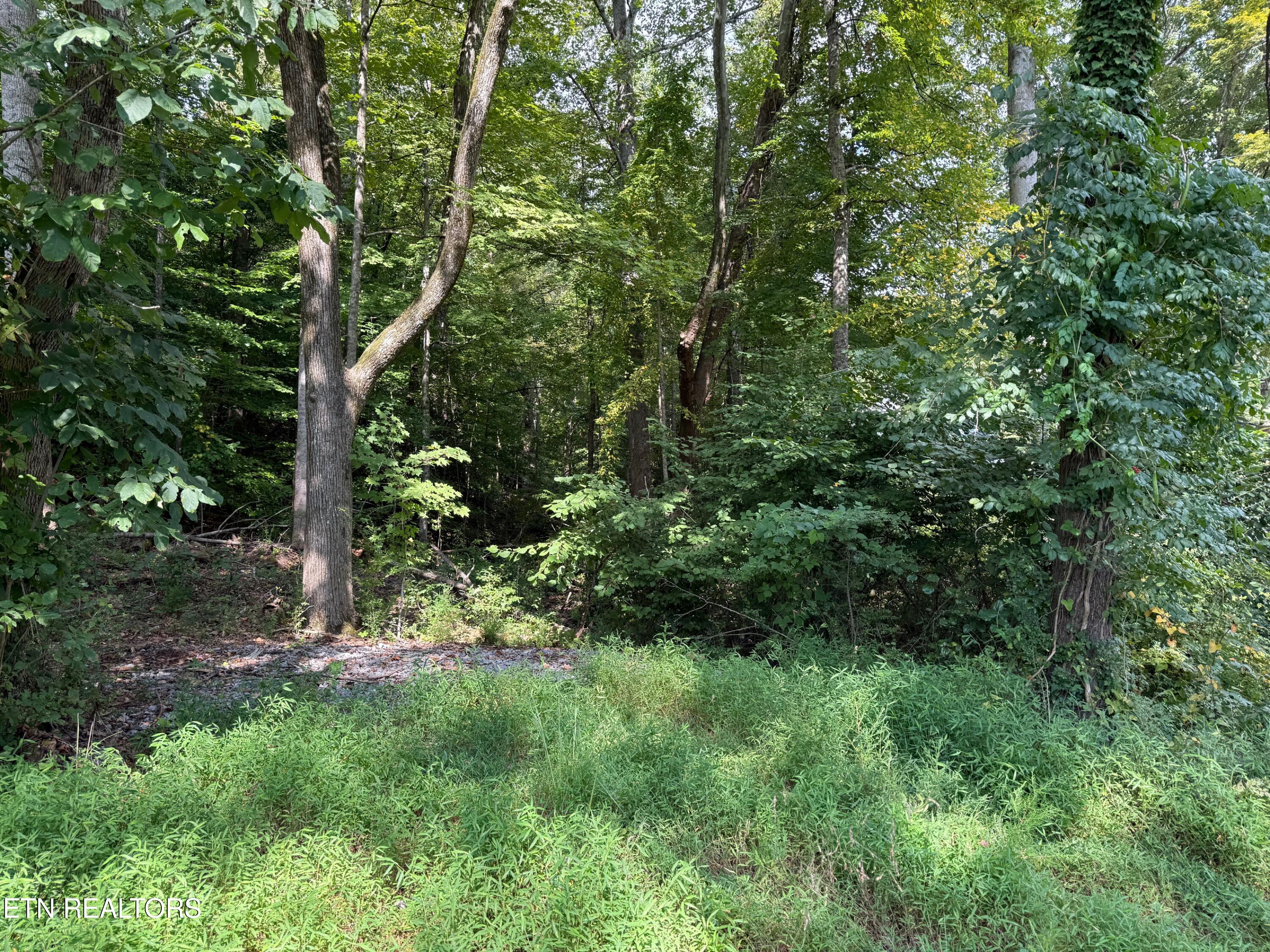 Riddle Street Dayton, TN 37321 - Photo 7 of 8 IMG_9239