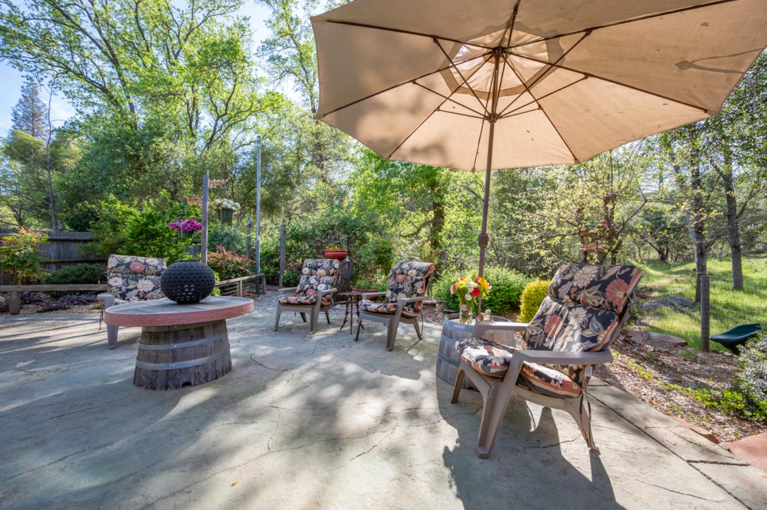 831 Rocky Hill Road Murphys, CA 95247 - Photo 49 of 58