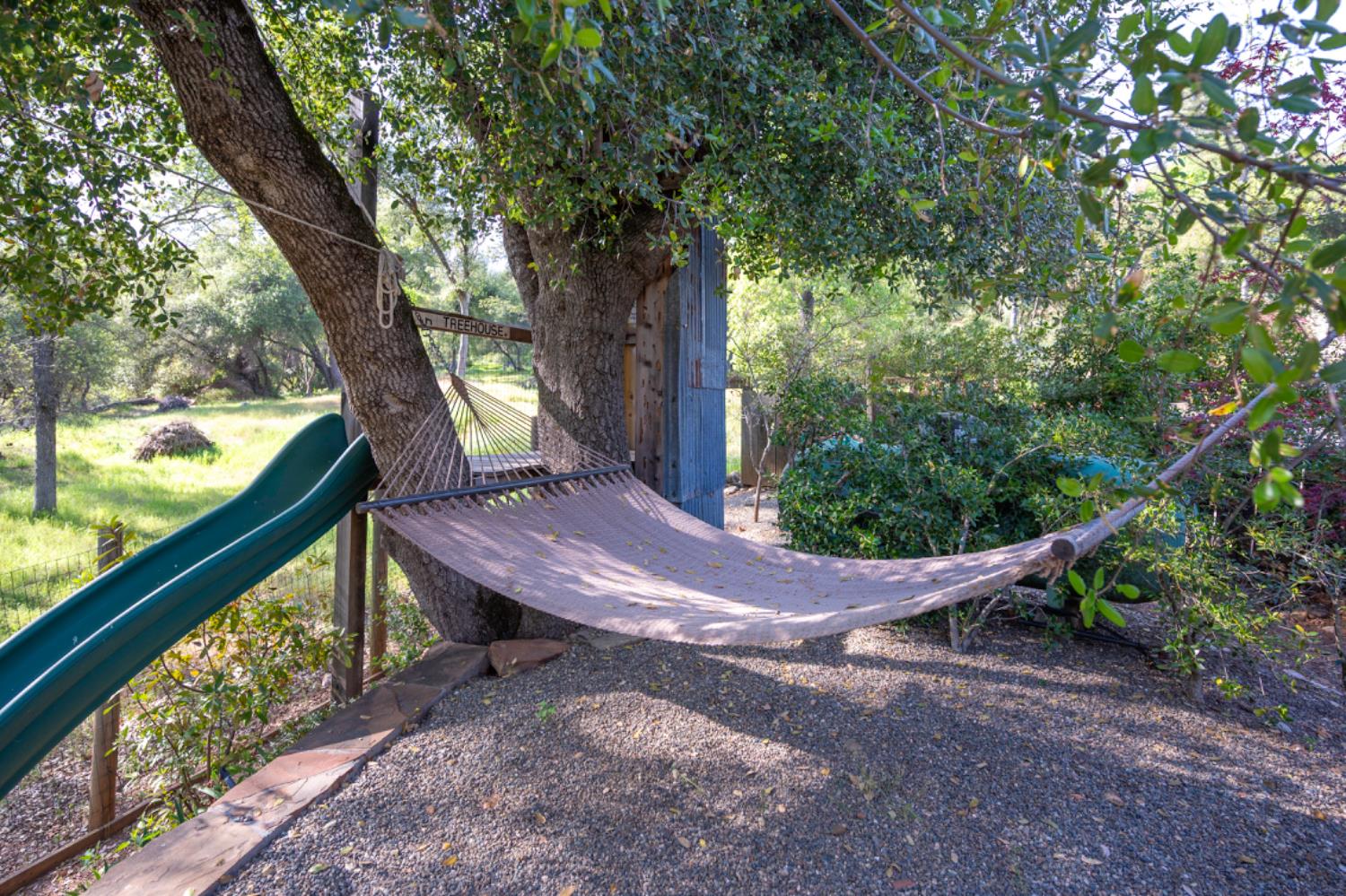 831 Rocky Hill Road Murphys, CA 95247 - Photo 50 of 58