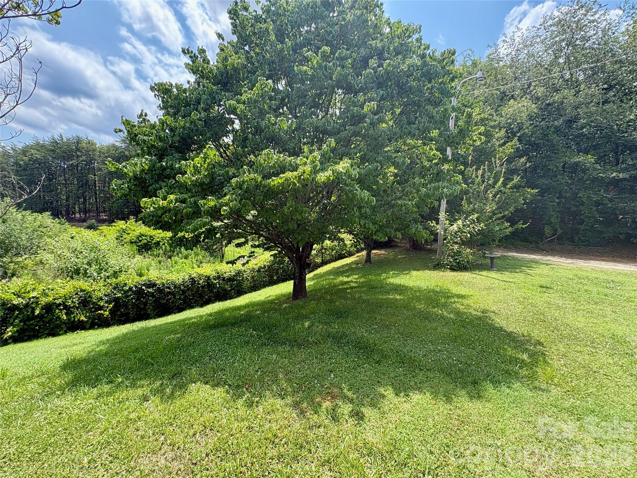 1812 Freemantown Road Lake Lure, NC 28746 - Photo 34 of 36