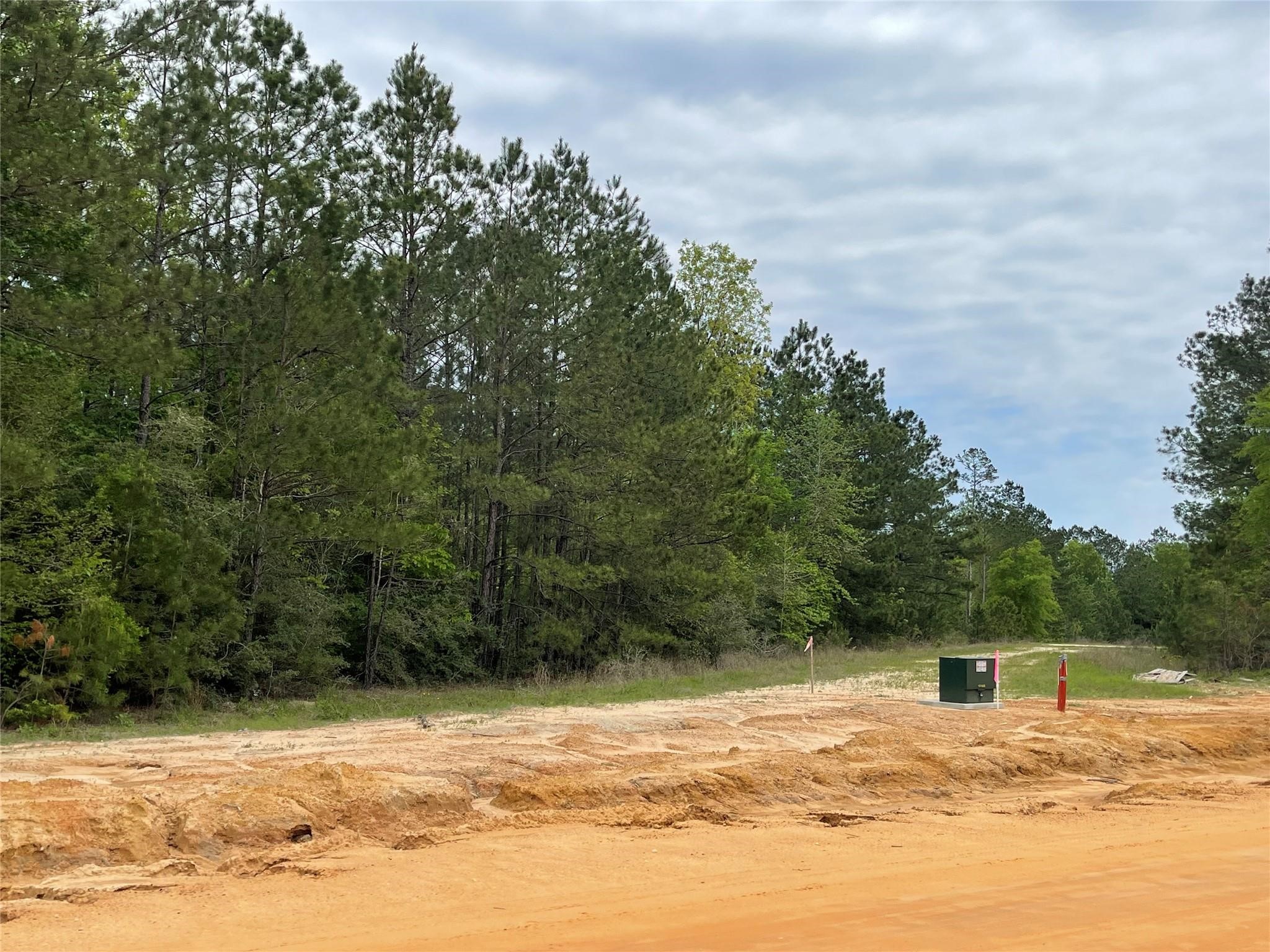 11631 Grand N Road Willis, TX 77378 - Photo 4 of 14 a view of ocean view with beach