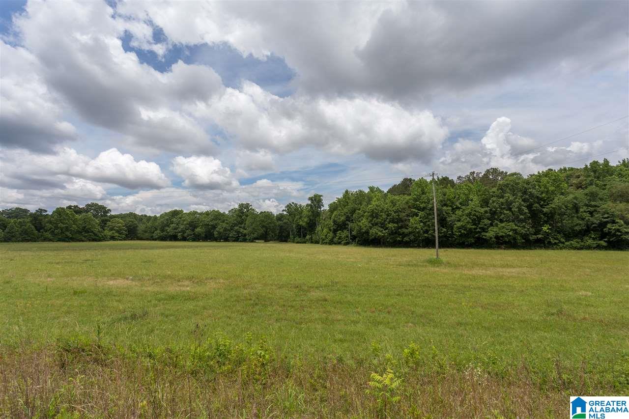 2450 Mcelderry Road Munford, AL 36268 - Photo 46 of 50