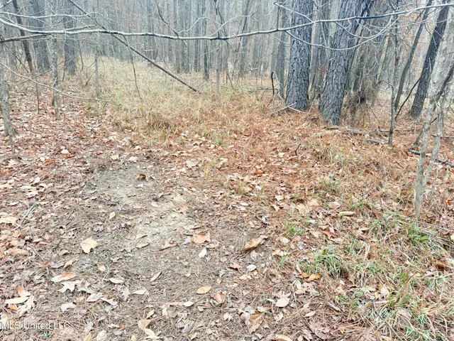 $109,500 | Firetower Road, Camden, MS 39045