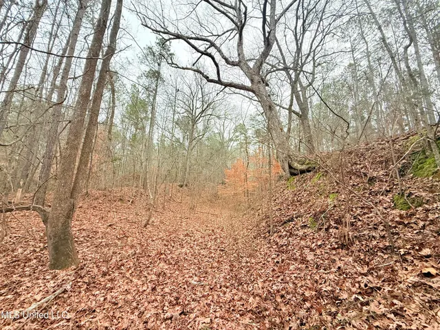 $109,500 | Firetower Road, Camden, MS 39045