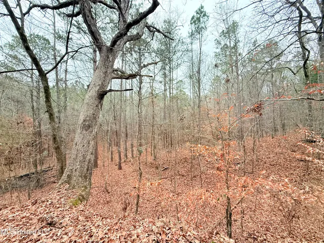 $109,500 | Firetower Road, Camden, MS 39045