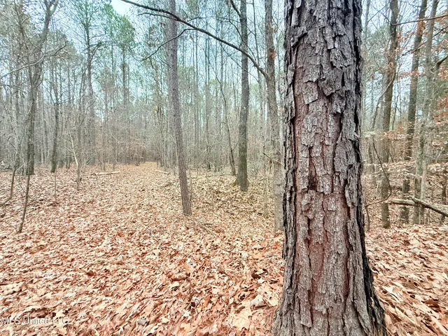 $109,500 | Firetower Road, Camden, MS 39045